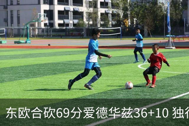 东欧合砍69分爱德华兹36+10 独行侠力克森林狼